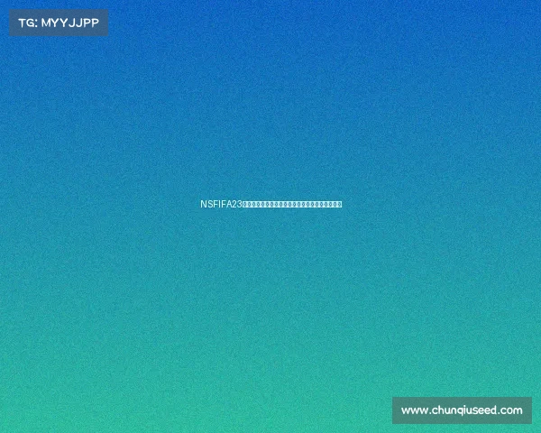NSFIFA23游戏中如何快速掌握世界杯模式完整玩法技巧指南